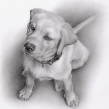 Lucas. Un proyecto de Dibujo de Marisa Zurita López - 26.06.2019