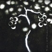 Ensayo para "La zorra y las uvas". Animation, and Stop Motion project by Irene Barrasa Ramos - 06.28.2019