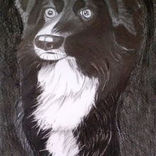 Perrito. Projekt z dziedziny R i sunek ołówkiem użytkownika Zaida Olvera - 30.06.2019