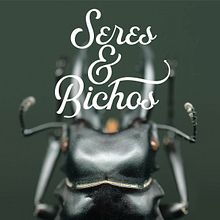 Seres & Bichos App. Mobile Design, and UX / UI project by Juan Pedro Sabina - 07.02.2019