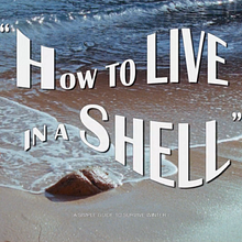 Gimaguas - How to live in a shell. Un proyecto de Cine, vídeo, televisión, Diseño de moda, Realización audiovisual y Vídeo de Biel Blancafort - 02.07.2019
