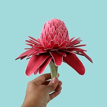 Torch ginger. Un progetto di 3D, Belle arti, Scenografia e Papercraft di Diana Beltran Herrera - 03.07.2019