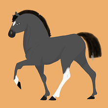 Caballos. Drawing, Traditional illustration, and Digital Illustration project by Sofia Orizaga Flores - 07.02.2019