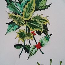 Lámina botánica: Ilex aquifolium. Un progetto di Disegno di Érika - 03.07.2019