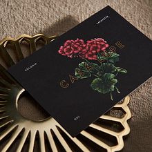 Casa Lupe Ein Projekt aus dem Bereich Br, ing und Identität, Kunstleitung und Traditionelle Illustration von Menta Branding - 10.10.2018