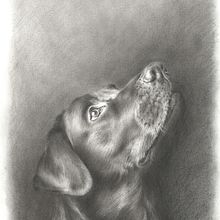 Alma. Un proyecto de Dibujo a lápiz de Marisa Zurita López - 05.07.2019