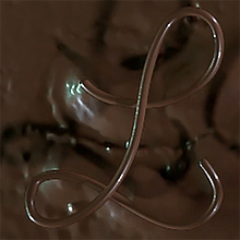 Lacasitos y chocolate. Un proyecto de 3D, Postproducción audiovisual y VFX de Juan Cubero Armendariz - 06.07.2019