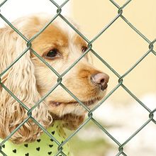 Mi Proyecto del curso: Creatividad publicitaria para todos los públicos "cuenta mi historia" . % Francisco Villanueva tarafından hazırlanan Yaratıcılık, Ve Reklamcılık projesi - 07.06.2019