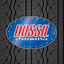 Introducción a las redes sociales: @DossilPortalAutomotriz. Marketing, and Digital Marketing project by Jonathan Silva Bravo - 07.09.2019