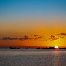 Diversidad . % Felix Rodriguez tarafından hazırlanan Fotoğrafçılık projesi - 07.07.2019