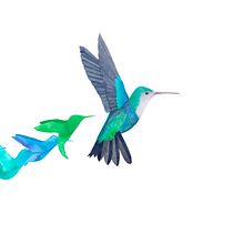 Portada Tesis Doctoral. Een project van Traditionele illustratie van María León - 08.07.2019