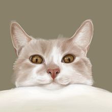 Serie "Diario Visual felino". Digital Illustration project by Solo Eva - 07.10.2019