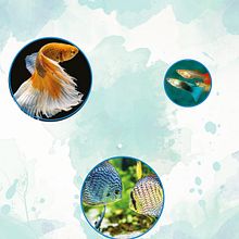 AcuaZarcero. Een project van  Ontwerp van Yira Ramírez Pérez - 11.07.2019