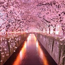 Mi Proyecto del curso: Humor gráfico: danos la tira nuestra de cada día. Artes plásticas projeto de Dai Savdi - 13.07.2019