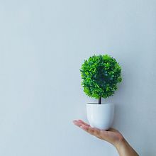 Mi Proyecto del curso: Fotografía profesional para Instagram . % Werlon Ribeiro tarafından hazırlanan Mobil Fotoğrafçılık, Instagram, Pazarlama, Dijital Pazarlama, Sos, al Med, Ve a projesi - 07.13.2019