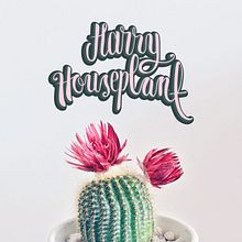 Harry Houseplant . Branding Design. Br, ing, Identit, Traditional illustration, Vector Illustration, and Lettering project by Pilar Chamorro Mora - 06.30.2020