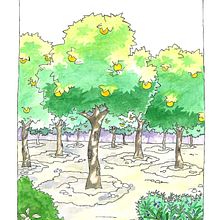 2000- Canciones para niños, F.G. Lorca.   Songs for Children. . Un projet de Illustration traditionnelle de Isabel Badia i Nogués - 15.07.2019
