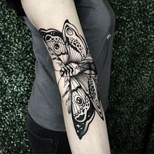 Tatuaje Polilla dinámico. Un proyecto de Diseño de tatuajes e Ilustración tradicional de Polilla Tattoo - 16.07.2019
