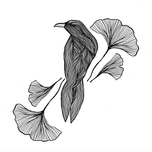 CUERVO  Ein Projekt aus dem Bereich Grafikdesign von Valentina Tavares - 19.07.2019