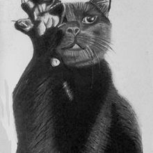 Garras gatunas. Pencil Drawing project by Zaida Olvera - 07.22.2019
