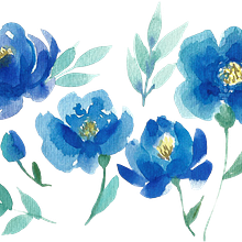 FLORES EN ACUARELA . Traditional illustration project by mariela yazmin hernandez libreros - 07.25.2019