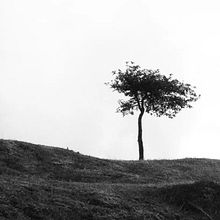 FOTOGRAFÍA URBANA . Fotografia projeto de Jeisson Cardenas Ariza - 30.07.2019