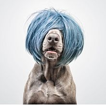 Fotografías de Instagram Ein Projekt aus dem Bereich Fotografie von Santos Román - 30.07.2019