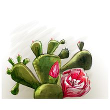 México en algunos dibujos. Un proyecto de Dibujo e Ilustración tradicional de Sara Hernández Andrade - 30.06.2017