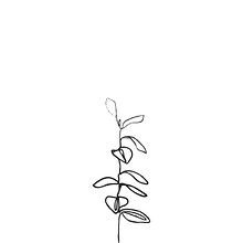 Mi marca personal. Br, ing, Identit, and Graphic Design project by Isabel Molinero Ramírez - 10.04.2019