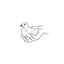 Long Birb. Animation, and 2D Animation project by Kevin Huete Rodriguez - 08.01.2019