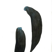 Mystery conversation. Drawing project by Serena Osti - 08.01.2012