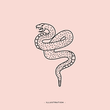 Black Mamba . % Toñito Balderrama tarafından hazırlanan Markalaşma ve Kimlik, Geleneksel illüstras, Ve on projesi - 08.05.2019