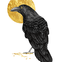 Ilustración allan poe. Drawing, Artistic Drawing, Design, and Traditional illustration project by brayannemus - 08.01.2019