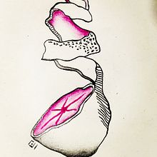 Food illustration . Projekt z dziedziny Trad, c i jna ilustracja użytkownika lenys lópez - 05.08.2019
