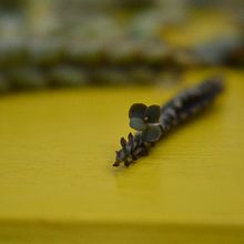 Mi Proyecto del curso: Introducción al marketing digital en Instagram . Arte și meșteșuguri, Design & Ilustrație pentru copii de Yanina ARAVENA - 08.03.2019