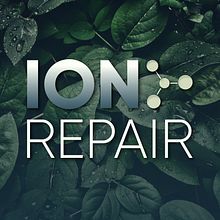 ION Repair. Graphic Design project by Moises Suarez - 08.05.2019