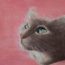 Los Animales . Un progetto di Illustrazione tradizionale e Pittura ad acquerello di Lenin David Hernández Segura - 05.08.2019