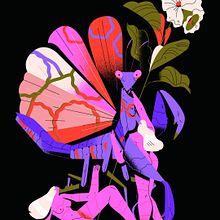 PORTAFOLIO DOMÉSTIKA. Digital Illustration project by Profe - 08.07.2019