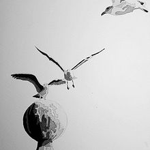 Mi Proyecto del curso: Estudio de aves. Fine Arts, Creativit, Drawing, and Traditional illustration project by Natalia Lanza - 08.07.2019