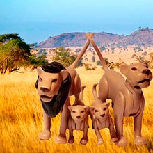 Familia de Leones. Stop Motion project by Zaida Olvera - 08.09.2019