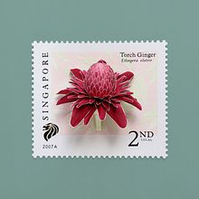 Torch ginger stamp. . Un progetto di 3D, Belle arti, Collage, Scultura, Fotografia, Illustrazione tradizionale e Papercraft di Diana Beltran Herrera - 13.08.2019