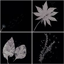 TEMPORADA: OUTONO. Fotografia artística projeto de Fer López - 31.12.2019