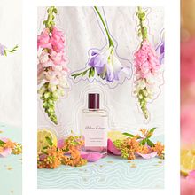 Atelier Cologne. Product Photograph project by Marioly Vázquez - 08.14.2019