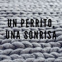 Un perrito, una sonrisa.. Marketing, and Advertising project by Frankcelys Viloria - 08.18.2019