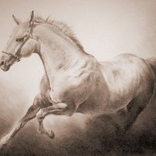 Erstez. Un proyecto de Dibujo artístico de Marisa Zurita López - 19.08.2019