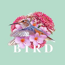 BIRD: Estampado textil con técnicas digitales. Un proyecto de Collage y Dibujo artístico de Diego José Guzmán González - 21.08.2019