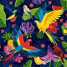 Alas de colores. Projekt z dziedziny Projektowanie mod, Ilustracja c, frowa i Grafika wektorowa użytkownika Kropsiland - 22.08.2019