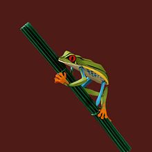 Red eye tree frog. . Un progetto di 3D, Animazione 3D, Animazione di personaggi, Belle arti e Papercraft di Diana Beltran Herrera - 22.08.2019