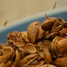 Video - Almonds. Un proyecto de Cine, vídeo, televisión, Creatividad, Edición de vídeo, Post-producción fotográfica		 y Vídeo de Félix García Justicia - 22.08.2019
