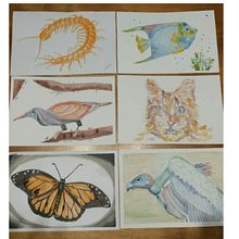 Mi Proyecto del curso: Técnicas experimentales de acuarela para principiantes  Ein Projekt aus dem Bereich Traditionelle Illustration und Aquarellmalerei von Rocio de la Iglesia - 23.08.2019